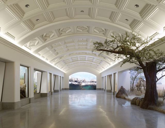 View down an exhibit hall in the California Academy of Sciences, San Francisco.