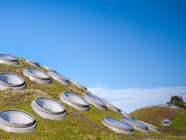 View of the living roof on the California Academy of Sciences, San Francisco.