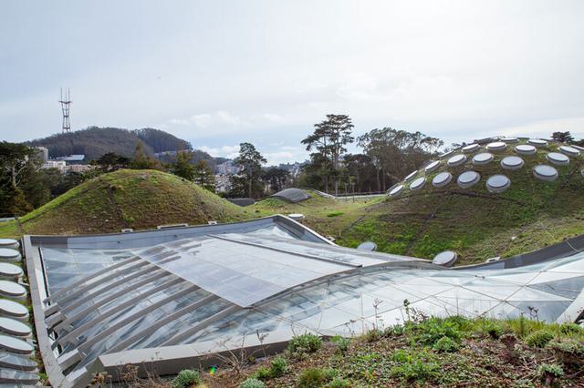 View of the living roof on the California Academy of Sciences, San Francisco.